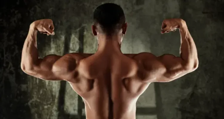 Membentuk Otot Punggung: Rahasia Postur Tegap dan Kuat