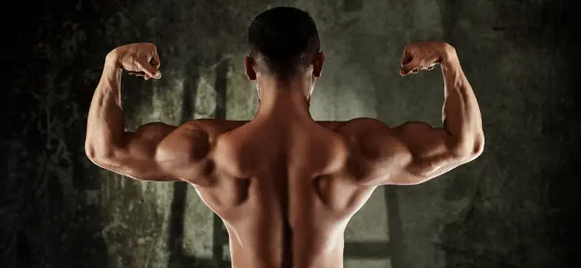 Membentuk Otot Punggung: Rahasia Postur Tegap dan Kuat