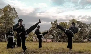 Sejarah Pencak Silat dan Perkembangannya di Indonesia