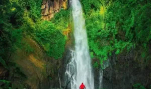 Curug Sidoharjo Kulon Progo, Pesona Air Terjun di Barat Yogyakarta