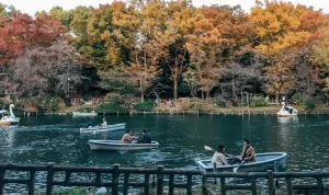 Wisata Jepang Terpopuler, Dari Tokyo yang Sibuk sampai Okinawa yang Santai