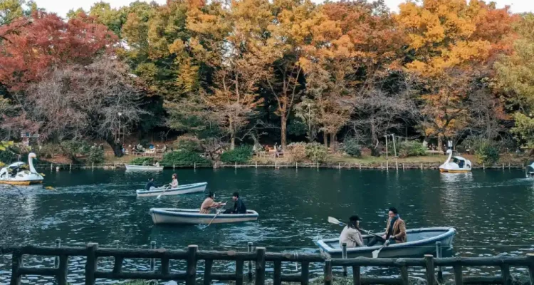 Wisata Jepang Terpopuler, Dari Tokyo yang Sibuk sampai Okinawa yang Santai
